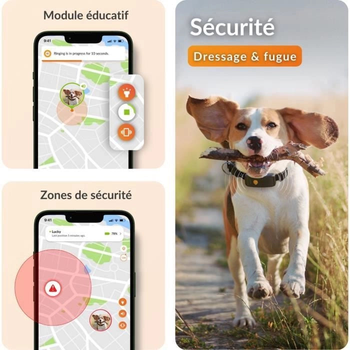 Collare GPS per cani - WEENECT Dog XT - Antenna XL - Impermeabile - Collare Julius-K9 - Funziona con abbonamento - Arancione