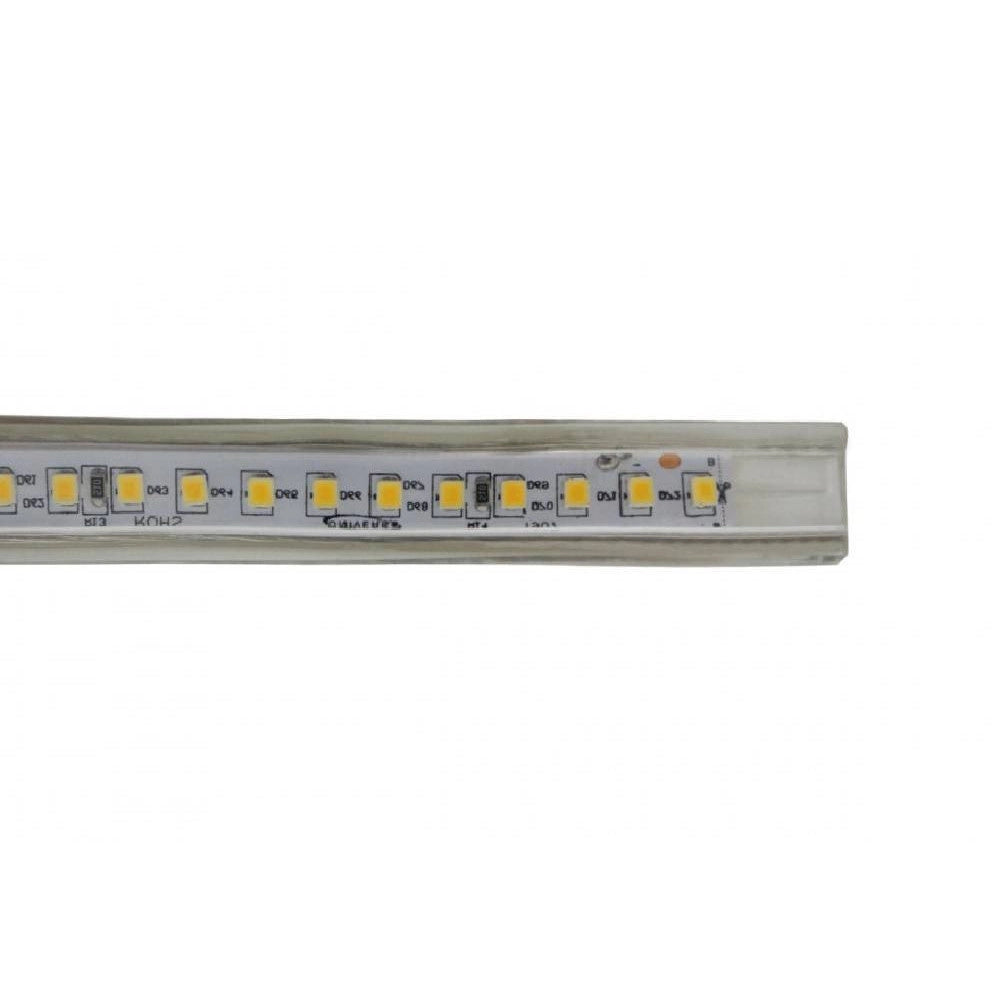 Trade Shop - Strisce Led Gommate 2835 144d 10mm 100mt 220v Vari Toni Di Colori Luce 2835smd -