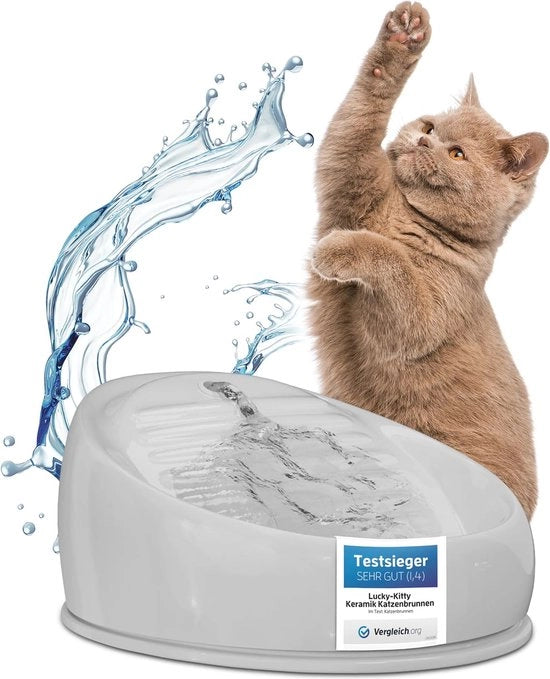 Fonte d'acqua per animali domestici - Ceramica, igienica, stile e risparmio energetico - Dispenser per idratazione salutare