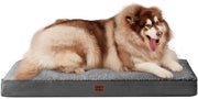 Cuscino per Cani XXL - Forma a Guscio - Schiuma Eivorme - Copertura Rimovibile - Zona di Riposo Comoda