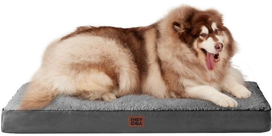 Cuscino per Cani XXL - Forma a Guscio - Schiuma Eivorme - Copertura Rimovibile - Zona di Riposo Comoda