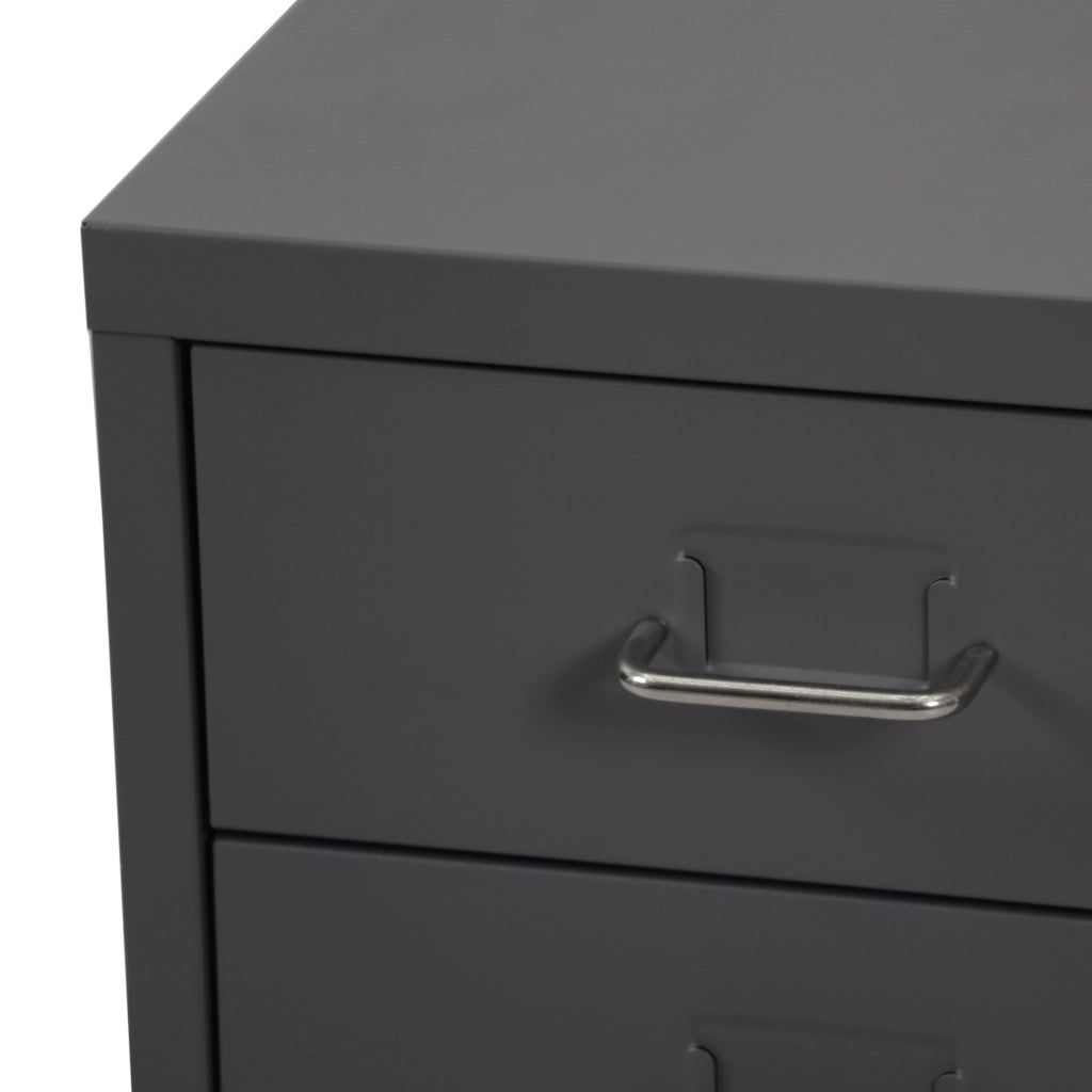 Cassettiera Kökar in Acciaio Mobile Archivio con 3 Cassetti e Rotelle - Grigio Opaco [en.casa]