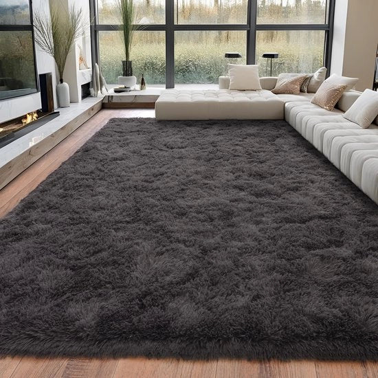 Tapijt Antracite 200x300, Tapijt con Fili di Alta Qualità, Tapijt Pluizioso per Soggiorno, Tapijt con Fili Lunghi, Tapijt con Fili di Alta Qualità Antiscivolo, Tapijten Extra Grandi per Camera da Letto, Camera da Bambini