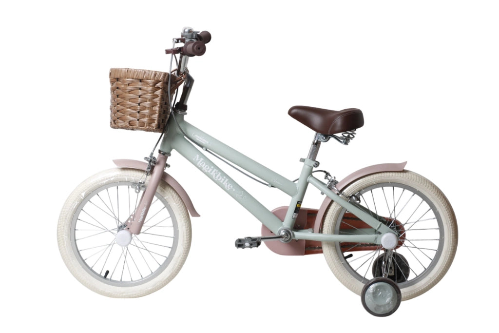 Bicicletta per Bambine Antonella 16 Pollici con Stabilizzatori e Cestino Verde e Rosa Verde e Rosa