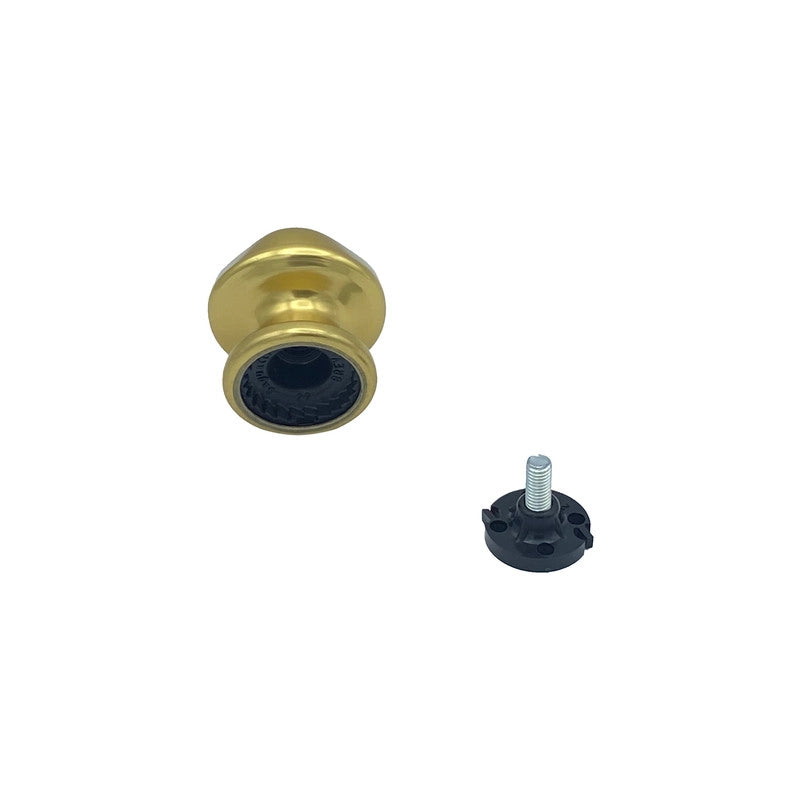 Pomolo fisso per porta SAGUATTI 172/60BB in alluminio oro lucido
