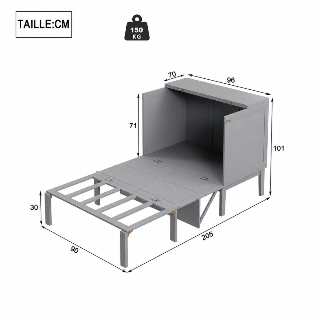 DESMIU Letto a Scomparsa 1 Posto con Vani Contenitivi, 90 × 200 cm e 205 × 96 × 101 cm, senza materasso