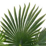 Palma Artificiale con Vaso Verde 70 cm CFW7436825