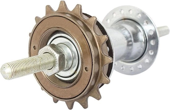 Cassetta a 16 denti per velocità unica - Contenuto HTML - Accessorio di ricambio per bicicletta - Cassette e libellule - Componenti della linea di trasmissione.