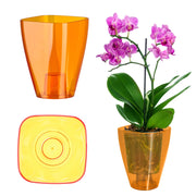 Vaso per orchidee KADAX in plastica arancione, 9 cm