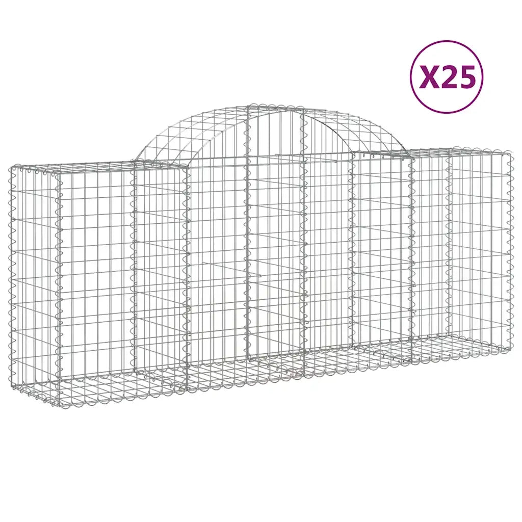 Cesti Gabbioni ad Arco 25 pz 200x50x80/100 cm Ferro Zincato 3146315