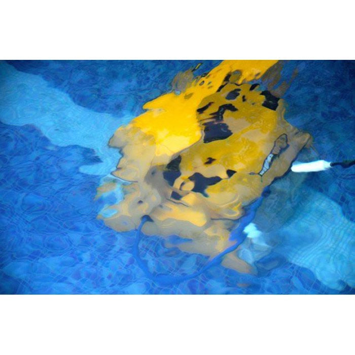 Robot piscina Dolphin WAVE 100 Gyro RC by Maytronics con telecomando Tipo Spazzole: Kanebo