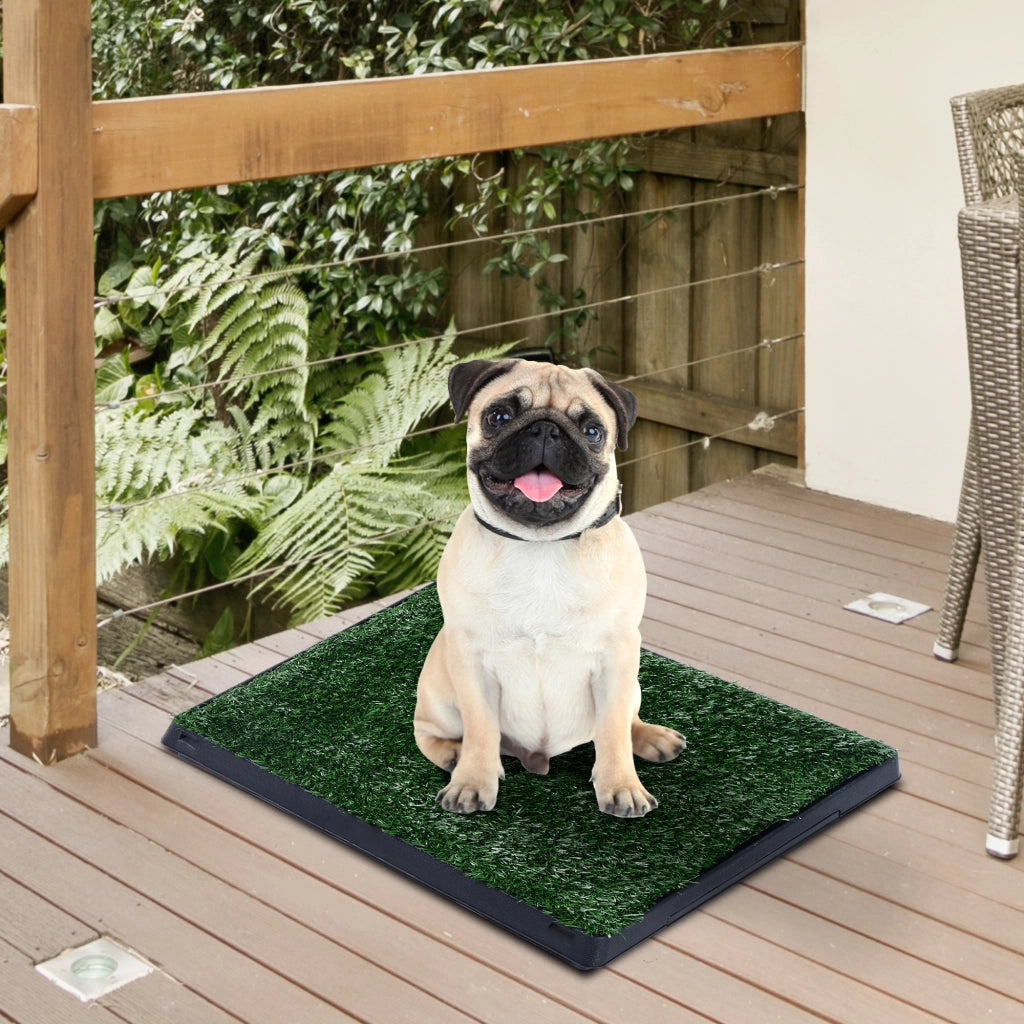 Vasca Erba Artificiale per Cani con Vassoio Estraibile ¨C zephmum ¨C 51x63x6 cm Verde