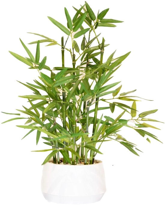 Pianta ornamentale in vaso alto 45,7 cm, bianco, bambù in materiali artificiali.