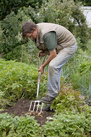 Furgone da Giardino in Acciaio Inossidabile Tradizionale Blu - 4550DF