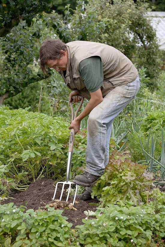 Furgone da Giardino in Acciaio Inossidabile Tradizionale Blu - 4550DF