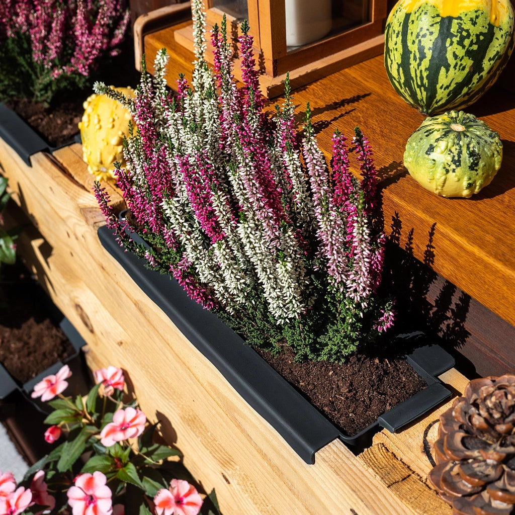 Vaso da fiori KADAX, vasi da fiori per Europallets, scatola da 40 cm, 16 pezzi