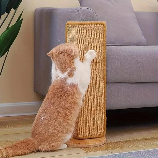 Piastra di Scrittura per Gatti in Carta - Design e Robusta - Protezione contro le Scalfitture - Piastra di Scrittura o Mat per Gatti - Accessorio Ideale per la Pulizia del Griff