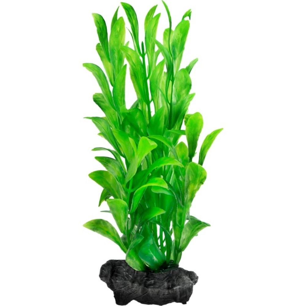 Tetra Pianta Decorativa in Plastica Modello Hygrophila varie misure Modello: S