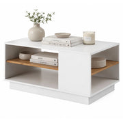 Karada, Tavolino da Salotto 2 Vani, 100x46x60h cm Bianco