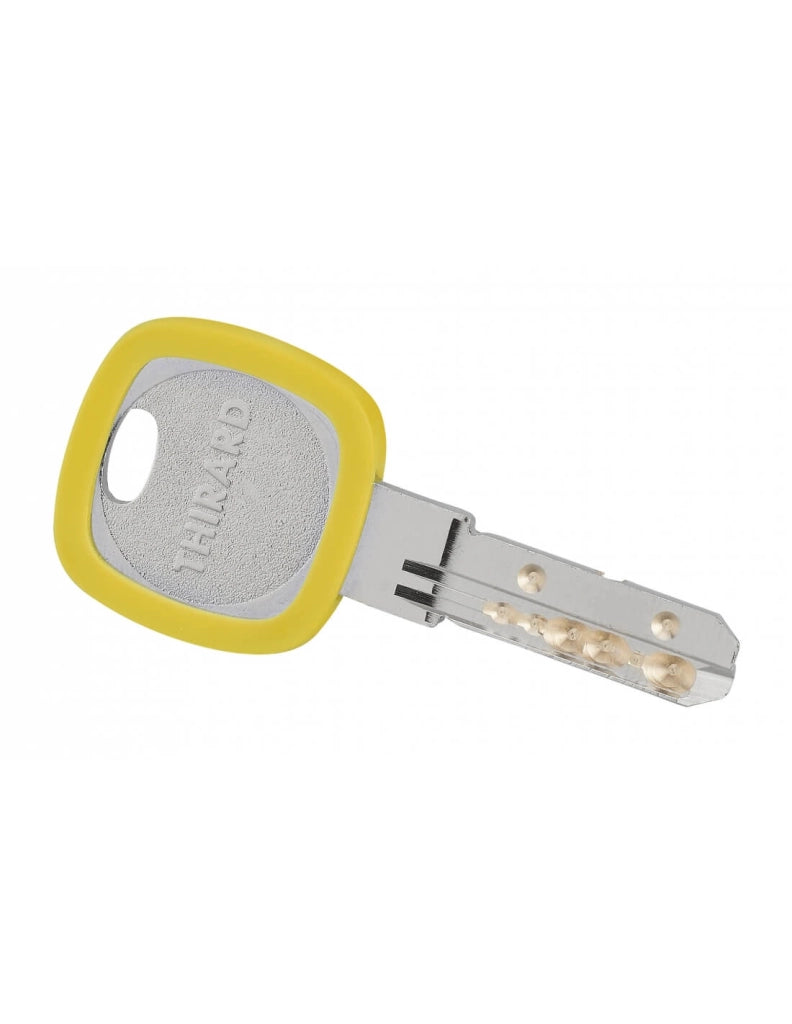 Anello portachiavi Ø 30 mm, colori assortiti – THIRARD