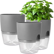Set di autopotatura per erbe da cucina - vassoio per erbaria - set da 3 - 182 x 11 x 153 cm - vaso grigio per erbe fresche
