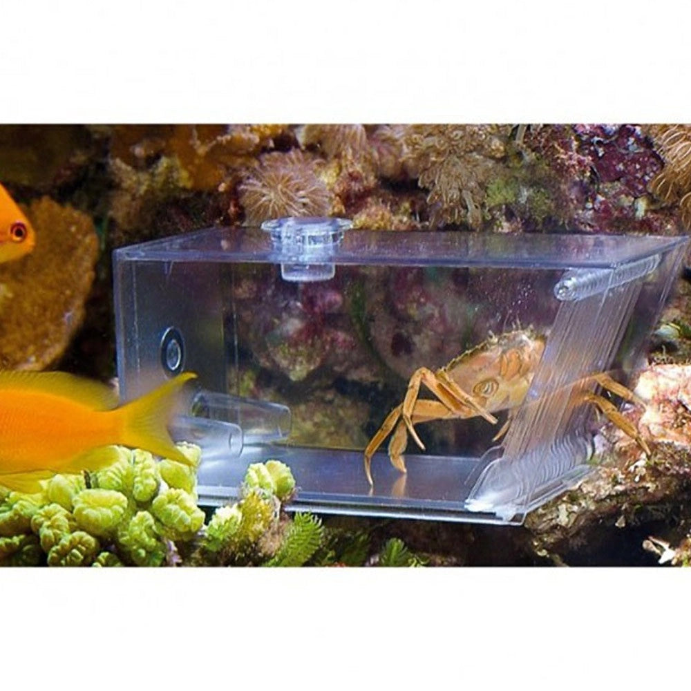 AquaMedic 501.81 Trap-Pest - Trappola Universale per Granchi, Vermi e Idrobidi - cm 15x7x7h