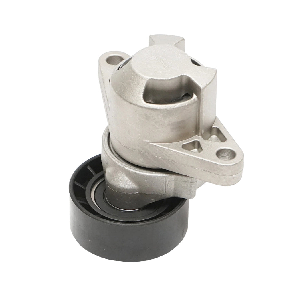 Puleggia tenditrice con molla per cinghia di trasmissione Dacia Logan benzina 8200603359