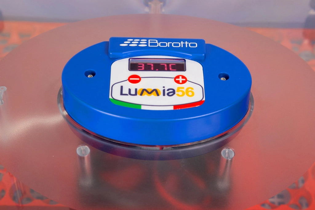 Incubatrice per Uova Professionale con Biomaster Borotto Lumia 56