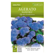 Agerato Nano Blu DB