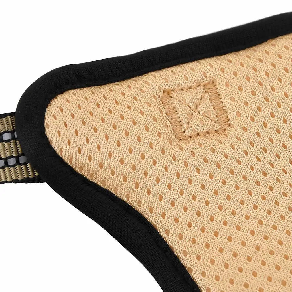 Pettorina Cani con Guinzaglio e Collare Regolabile Marrone L CFW1438214