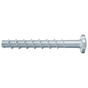 Fischer 546378 giravite e bullone 40 mm 100 pz Vite