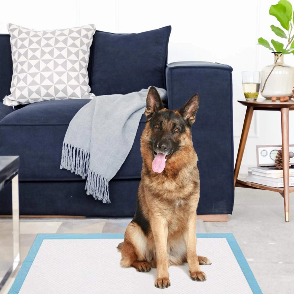 Tappetini Igienici Grandi per Animali, Traverse Animali a 5 Strati, Assorbe Bene Senza Perdite (75 x 75 cm 150 Pezzi)