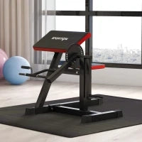 Panca Romana 2 in 1 per Curl e Tricipiti con Sedile a 5 Livelli e 25 Regolazioni, Nero