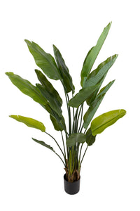 Pianta Artificiale Sterlizia con Vaso Composta da 20 Diramazioni Real Touch H 180 cm