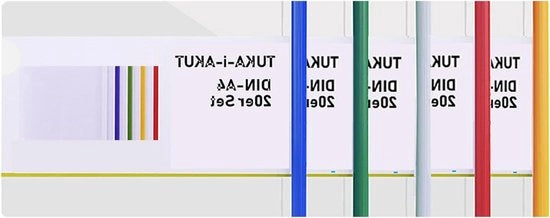 Raccoglitore A4 con chiusura a viti, cartellino trasparente, classificazione per documenti non cartellonati, 5 colori.
