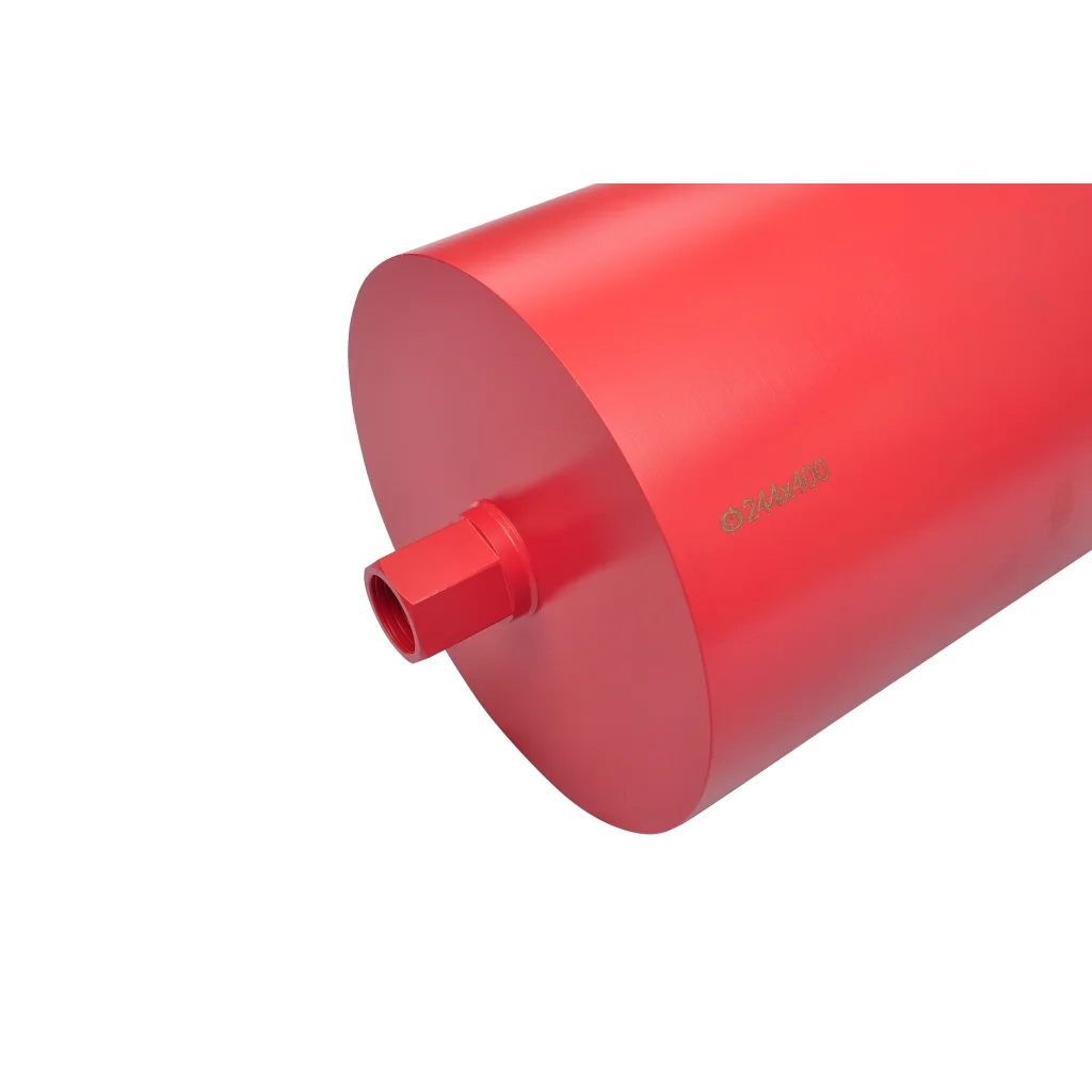Punta di trapano secco e umido 244x400 mm CFW5693043