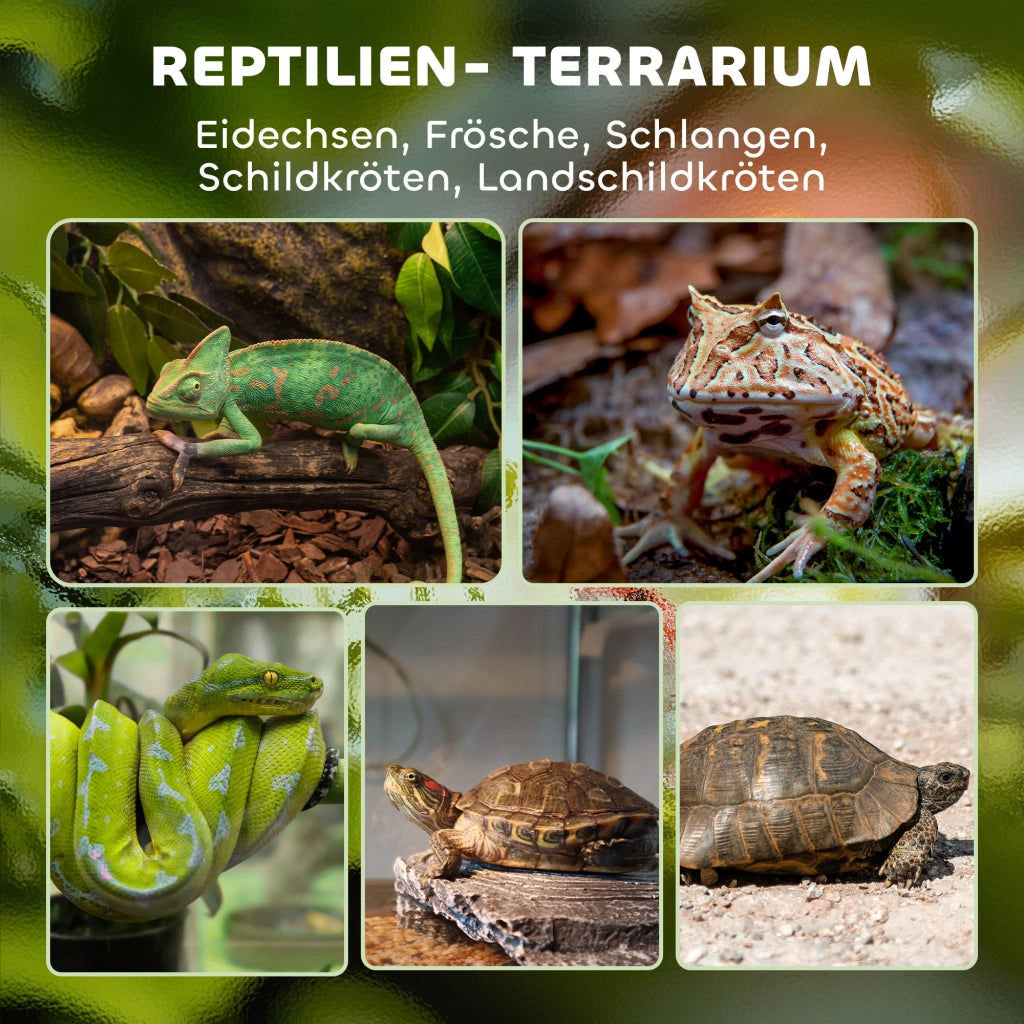 Terrario in Vetro per Rettili ¨C Xylo ¨C Base Rialzata Impermeabile con Serratura