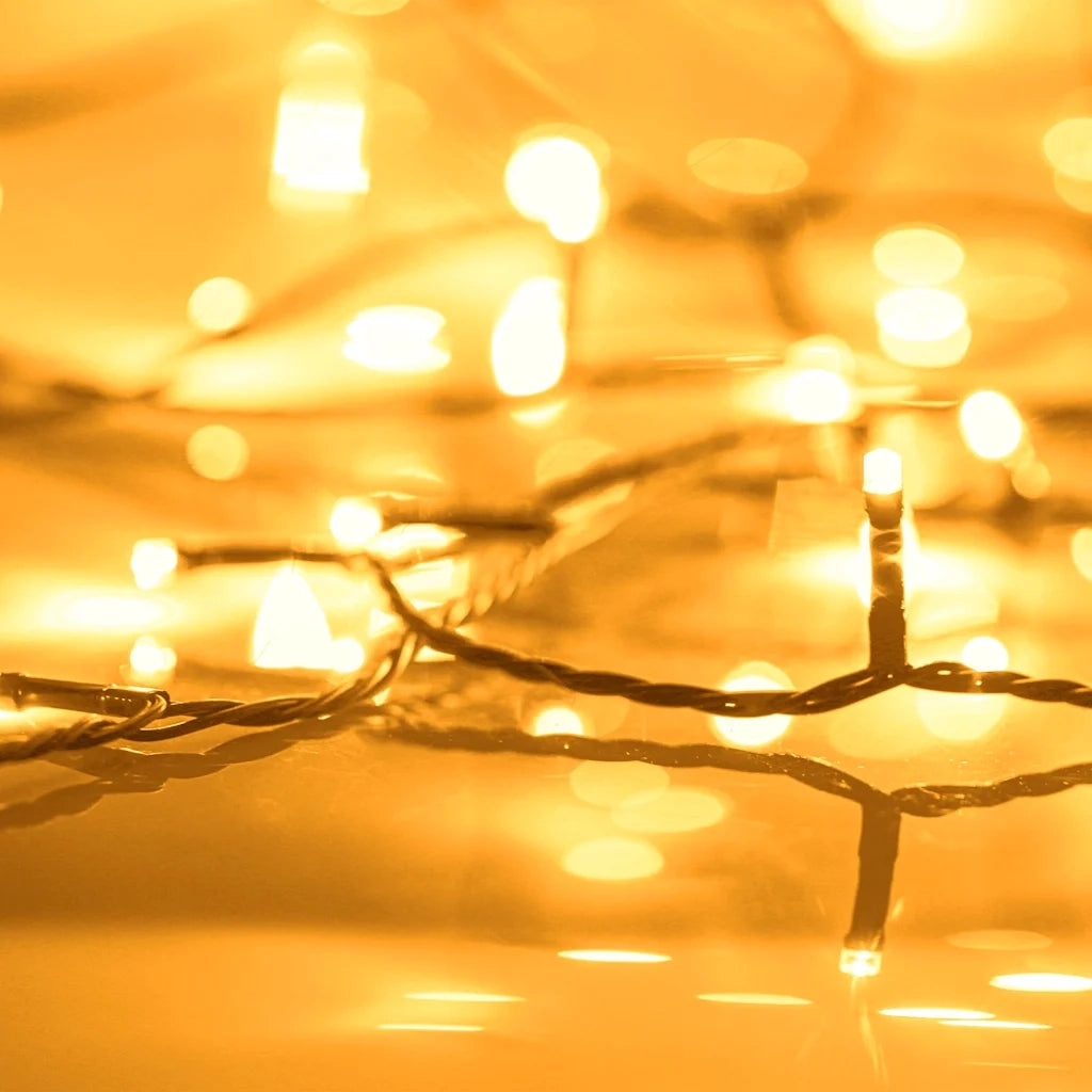 Stringa di Luci con 1000 LED 60 m 8 Effetti Luce IP44 Bianco Caldo CFW5660750