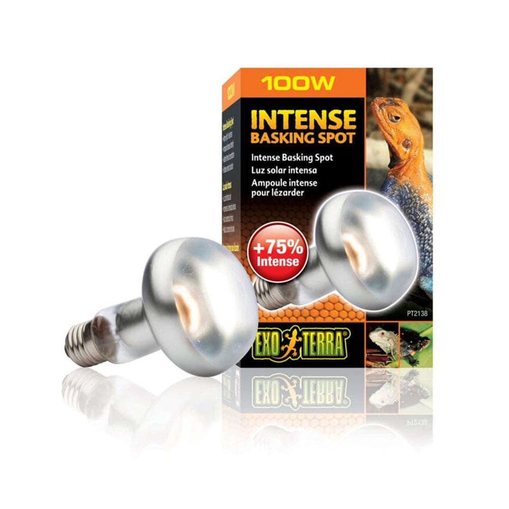 ExoTerra Intense Basking Spot - lampada per terrari a luce concentrata Wattaggio Riscaldatori e lampade terrario: 100W