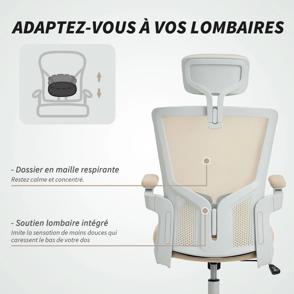 Sedia da ufficio ergonomica ¨C zephmum ¨C beige, braccioli reclinabili, supporto lombare, 60x63x120cm