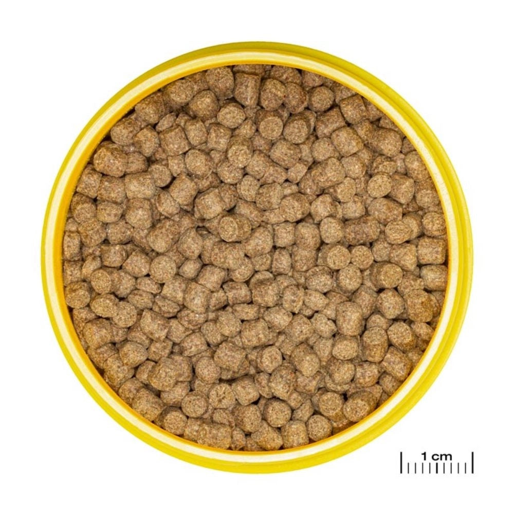 JBL ProNovo Lotl Grano M 250ml - Mangime base in granuli per Assolotti e Tritoni da 8 a 20cm