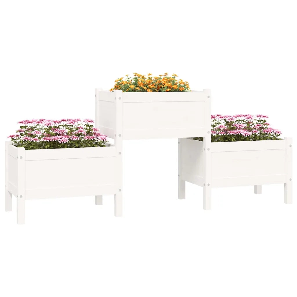 Fioriera | Cassetta per fiori | Vaso Bianca 178,5x44x75 cm in Legno Massello di Pino