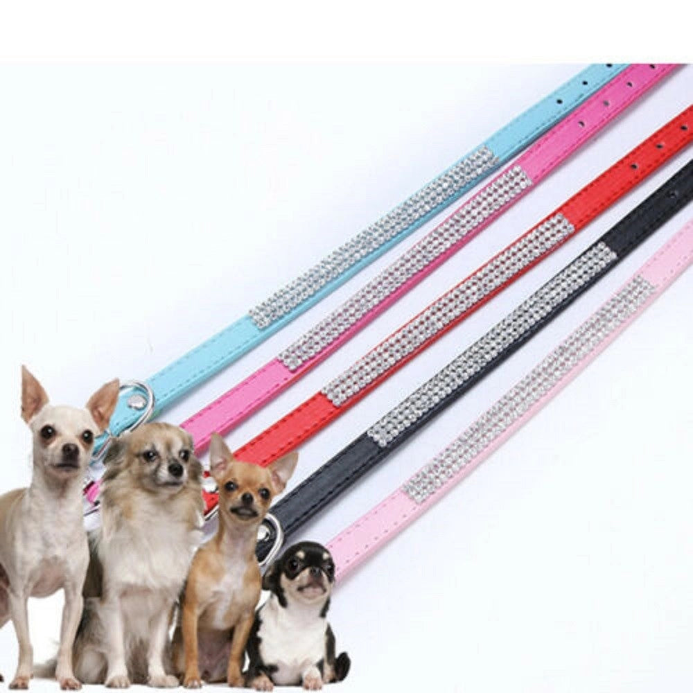 Trade Shop - Collare Con Strass Per Cani Cane Gatti Animali Pet Brillantini Colori Assortiti -