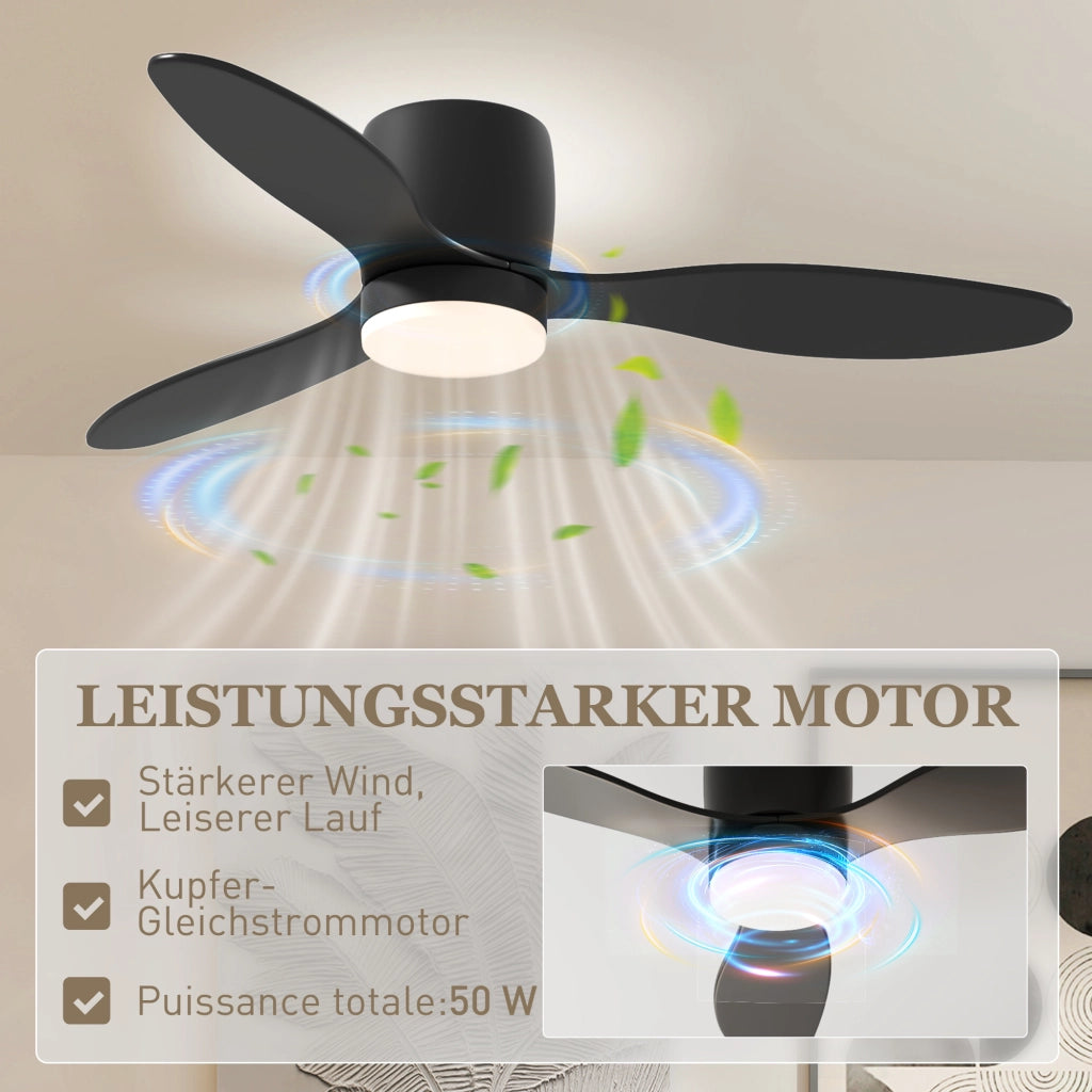 Ventilatore da Soffitto con Luce e Telecomando ¨C Zephmum ¨C Nero, 3 Colori Luce, 6 Velocit¨¤