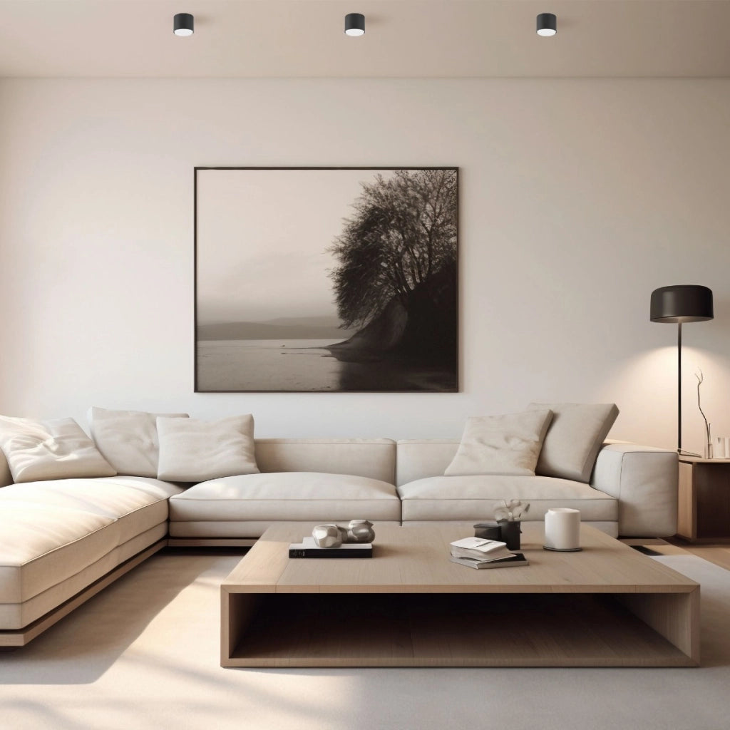 Plafoniera spot superficie nera GX53 1 luce Videx 30W