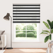 Tenda a Rullo Zebra Nero Larghezza Tessuto 155,9 cm Poliestere 4014273