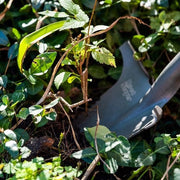 Spalatore di Radici Nomad pala per radici rossa - Giardino 22311 con punta affilata