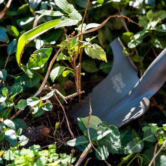 Spalatore di Radici Nomad pala per radici rossa - Giardino 22311 con punta affilata
