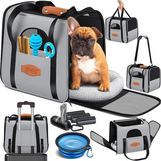 Scatola per cani, kit per cani, scatola di trasporto per cani