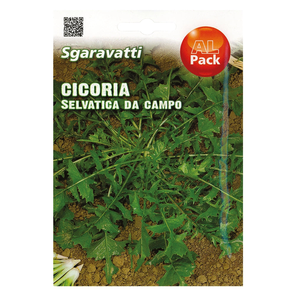 Semi per Ortaggi e Vegetali Cicoria Selvatica da Campo Sgaravatti 20 Pezzi